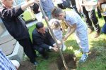  Gjilani mbjell “Pemën e Shpresës” në Ditën Ndërkombëtare të Fëmijëve