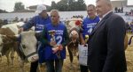  Mbahet ekspozita e lopëve në Bujanoc