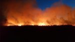  Gjilani në “luftë” me zjarre fushore, shuhen ato pa u shkaktuar dëme të mëdha – VIDEO