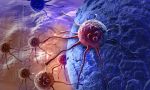  Zbulohet substanca që mund të vret qelizat kancerogjene