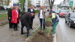  Në 20-vjetorin e rënies së Agim Ramadanit, në Gjilan mbillen drunj dekorativ