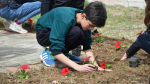  Kamenicë: Fillon manifestimi tradicional “Lulëkuqet e Prillit”