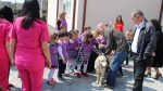  Në Gjilan qeni “Bred” suprizon fëmijet e institucioneve parashkollore