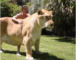  Luani më i madh në botë, jo i rrezikshëm për të tjerët!