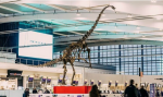  Dinozauri i vjetër del në ankand, vlera mbi 1.5 milionë euro