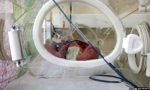  SHBA, foshnja më e vogël në botë lirohet nga spitali