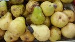  Frutat që ndikojnë në humbjen e peshës dhe shkrirjen e dhjamit