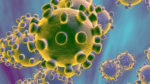  12 raste të reja me koronavirus, një në Kamenicë