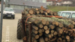  Raportohen raste të transportit ilegal të druve, shkatërrim pylli, kontrabandë me dru