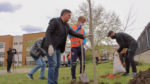  Gjilani nis mbjelljen e drunjve dekorativ në Ditën e Tokës