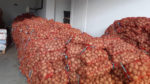  Dhuron 24 mijë kilogram patate për qytetarët në nevojë të komunës së Vitisë
