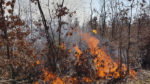  Gjilan: Zjarri “përpiu” dhjetëra hektarë male  (VIDEO)