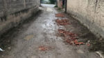  Edhe “Vaçe Zela”, është rrugë e Gjilanit ku jetojnë tatimpagues gjilanas! (FOTO)