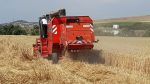 Kryetari Haziri në fushatën e korrje-shirjeve: Uroj që fermerët të ndahen të kënaqur me bereqetin që u ka dhënë Zoti