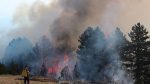  Komuna e Gjilanit apel kundër zjarreve, fton prokurorinë për hetim të rasteve