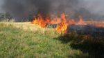  Komuna e Vitisë ngrit gjendjen e gatishmërisë shkaku i zjarreve
