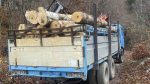  Kapen duke vjedh drunj, dy persona arrestohen nga Policia Kufitare