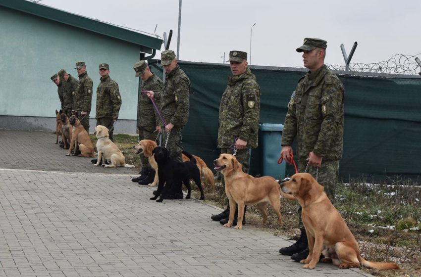  Kërkim Shpëtimi i Gardës Kombëtare të FSK-së pasurohet edhe me gjashtë qen të rinj, të dhuruar nga ushtria turke