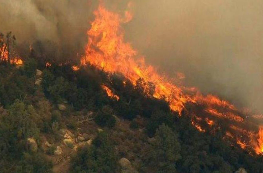  Raste të zjarreve në pyje në komunën e Kamenicës dhe të Ranillukut