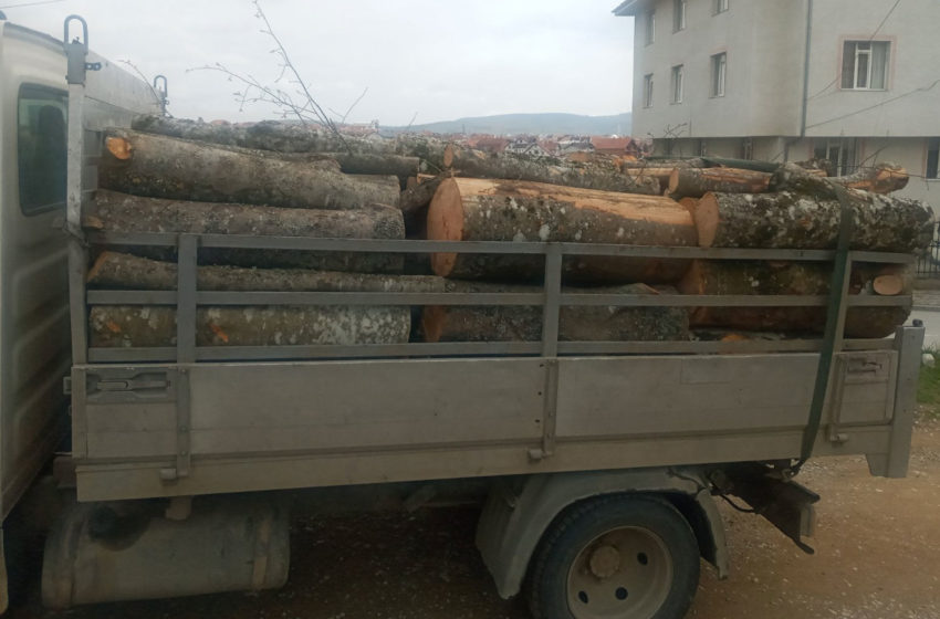  Drejtoria e Bujqësisë ka shqiptuar fletëparaqitje dhe ka konfiskuar dru nga transportuesit dhe prerësit ilegalë