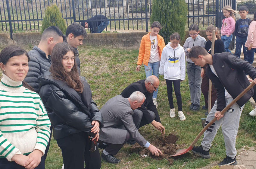  Për nder të Ditës Ndërkombëtare të Pyjeve, mbillen fidanë në shkollat e Kamenicës