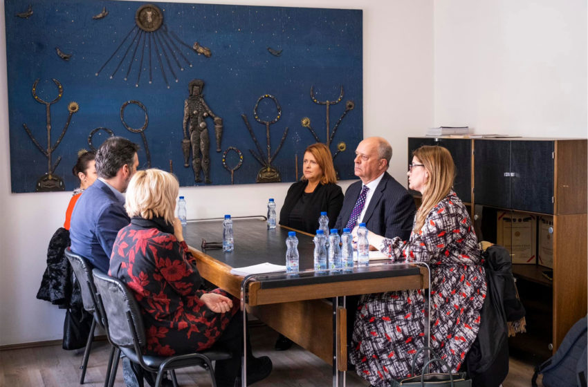  Ekspertizë nga profesionistë ndërkombëtar për themelimin e Këshillit Kombëtar të Arteve në Kosovë