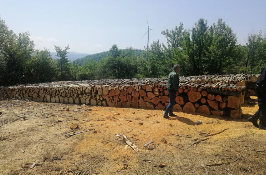  Policia e Kosovës konfiskon rreth 70 metër kub dru