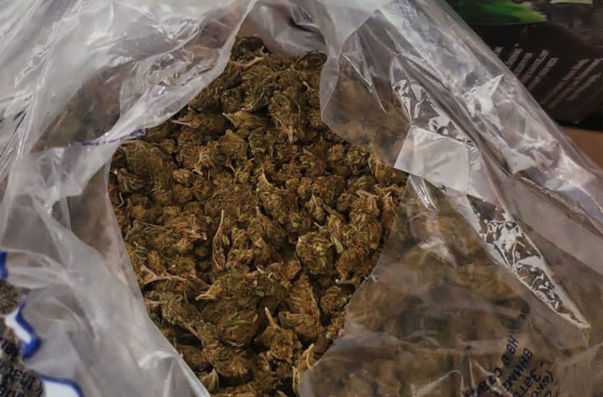  Arrestohen dy të dyshuar dhe konfiskohen mbi 10 kg marihuanë