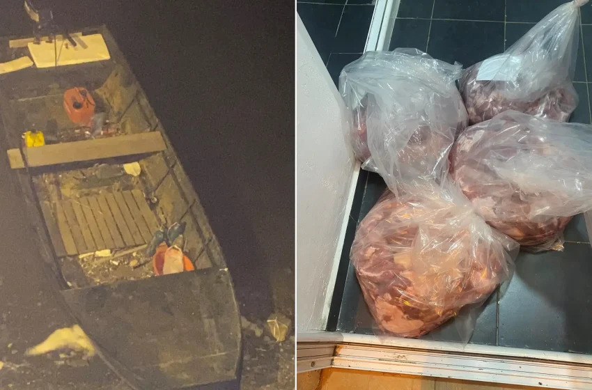  Policia e Kosovës arreston të dyshuarit për kontrabandim me mish derri