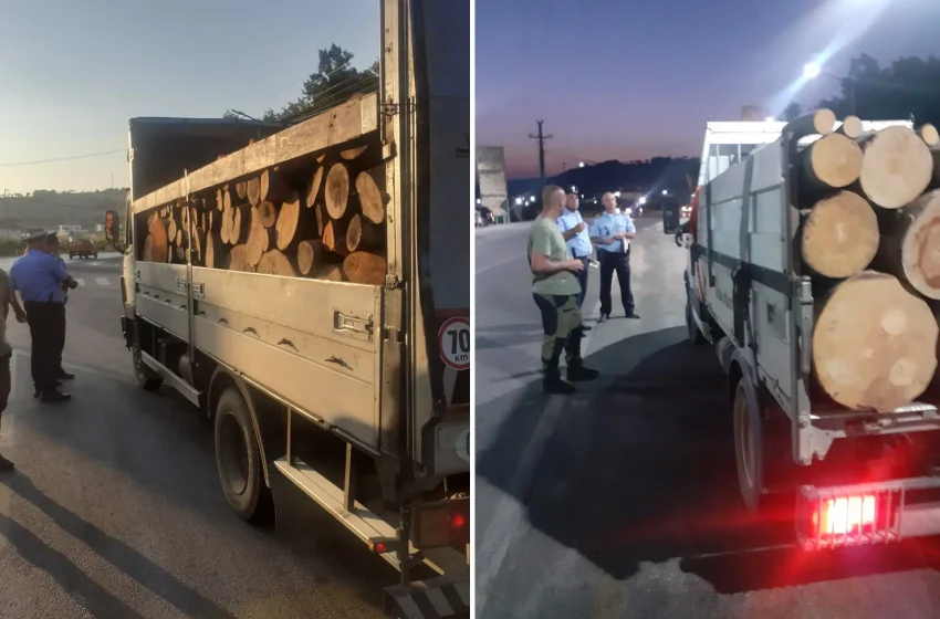  Policia dhe sektori i pyjeve në Gjilan, në aksion për parandalimin e prerjeve ilegale të pyjeve
