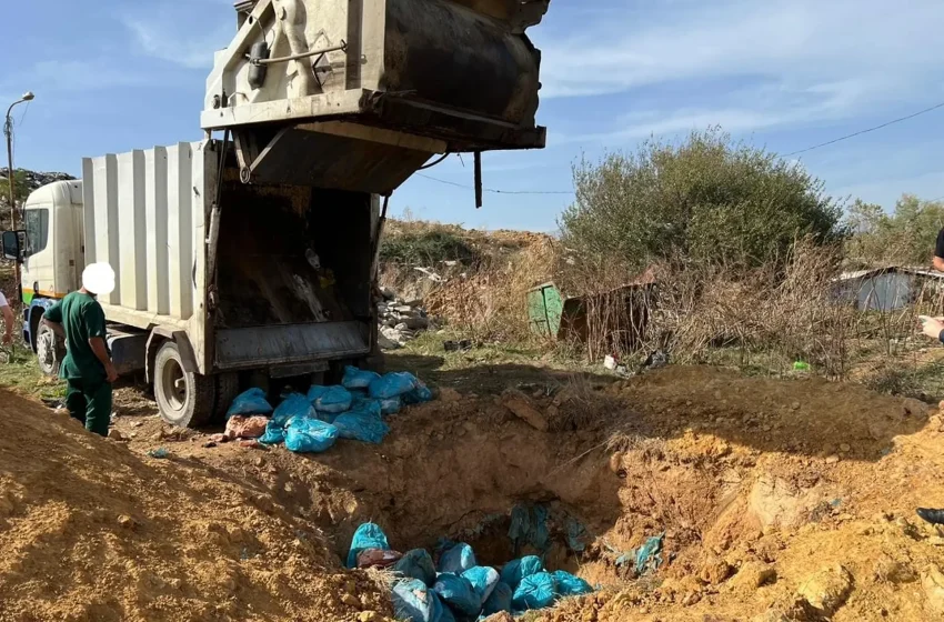  Policia në bashkëpunim me AUV-in ka gjetur dhe asgjësuar rreth 2 mijë kg mish me afat të skaduar