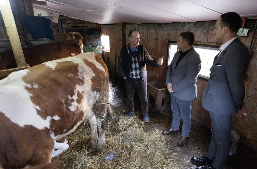  Kryetari Alban Hyseni viziton fermerin Mitat Rifati, përfitues i lopëve qumështore