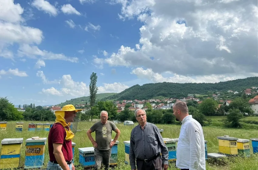  Në Ditën Botërore të Bletës, Drejtori Morina viziton bletarët e Komunës së Kamenicës