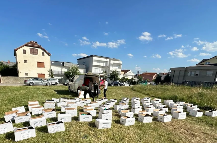  KBI në Gjilan në bashkëpunim me OBV – Bashkëveprimi ka bërë shpërndarjen e mishit të Kurbani