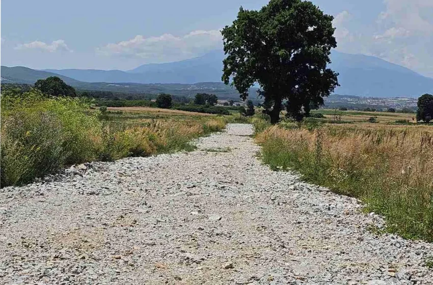  Komuna e Vitisë vazhdon rregullimin e rrugëve bujqësore