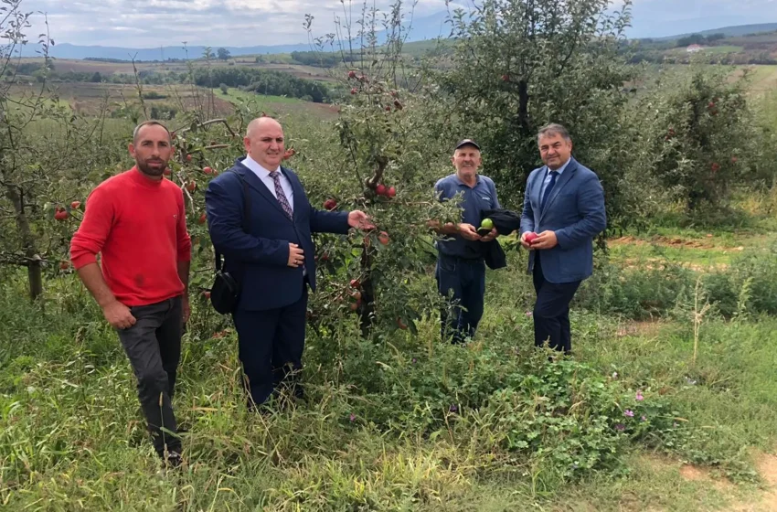  Drejtori i Bujqësisë e Pylltarisë dhe ai i Zhvillimit Ekonomik, inkurajojnë e motivojnë fermerët