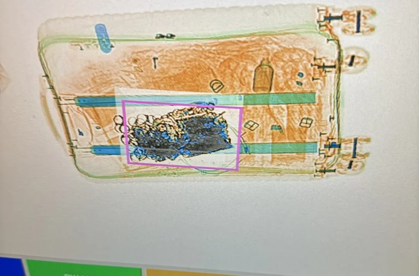  Dogana e Kosovës zbulon sasi ari të padeklaruar në aeroport