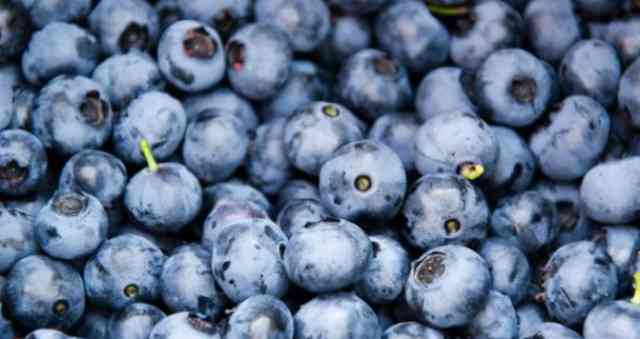 Fruti që parandalon plakjen, mund ta pini edhe si lëng