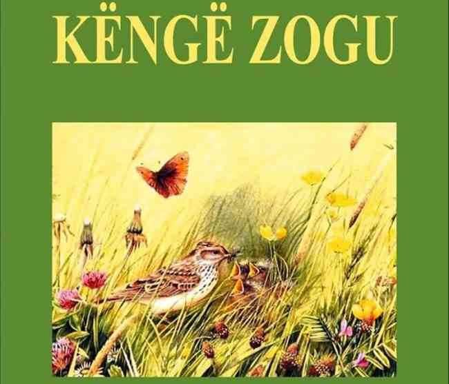 Kënga e zogu