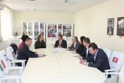 ambasadoren amerikane