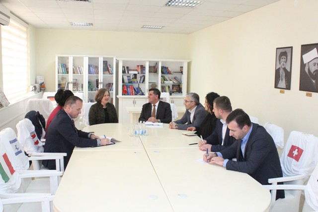 ambasadoren amerikane