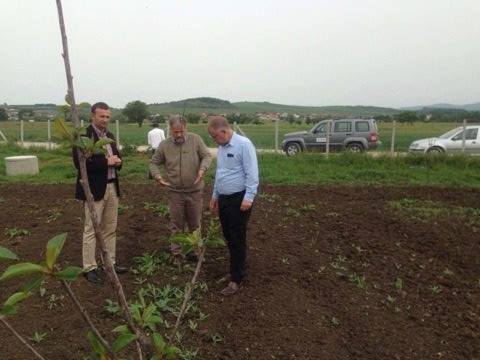 Komuna dhe AGRO/USAID vazhdojnë me implementimin e suksesshëm të projektit “Vishnje 2017”