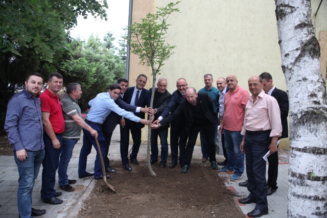 LDK e Gjilanit mbjell fidan në rrugën “Idriz Seferi”, në Ditën Ndërkombëtare të Mjedisit