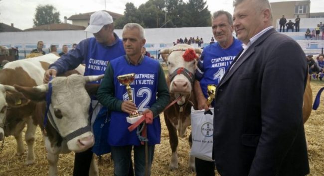 Mbahet ekspozita e lopëve në Bujanoc