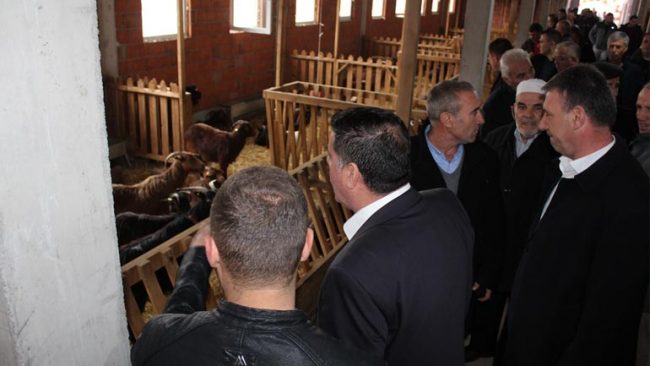 Në Bresalc të Gjilanit përurohet ferma e dhive me kapacitet prej 160 krerësh
