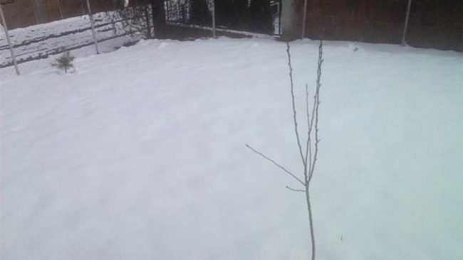 Të gjitha rrugët në Gjilan janë të hapura dhe të kalueshme
