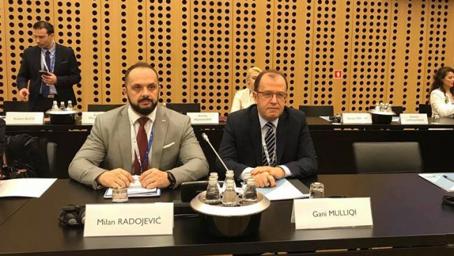 Zëvendësministri Radojevic po merr pjesë në takimin ministror të Procesit të Brdos