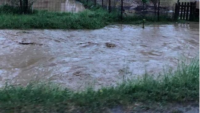 Vlerësimet e para të Komunës së Gjilanit: Shiu shkaktoi dëme të vogla në ekonominë familjare dhe bujqësi