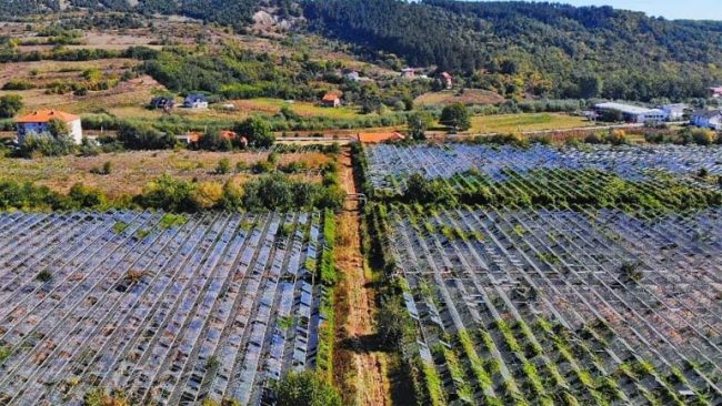 Komuna e Kamenicës fiton rastin kundër AKP-së