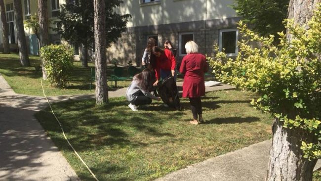 Nxënësit e Gjilanit po e vazhdojnë aksionin për pastrimin e ambientit